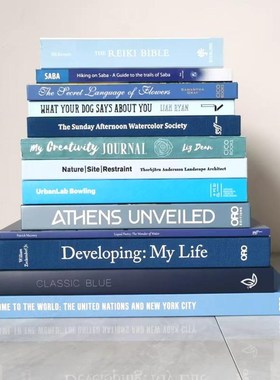 蓝色简约装饰真书 样板房陈列装饰书 样板间饰品摆件 拍摄道具书