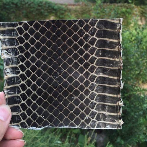 现货速发单块京胡皮越胡汉口蛇皮曲胡京二胡皮西皮二黄蛇皮配件