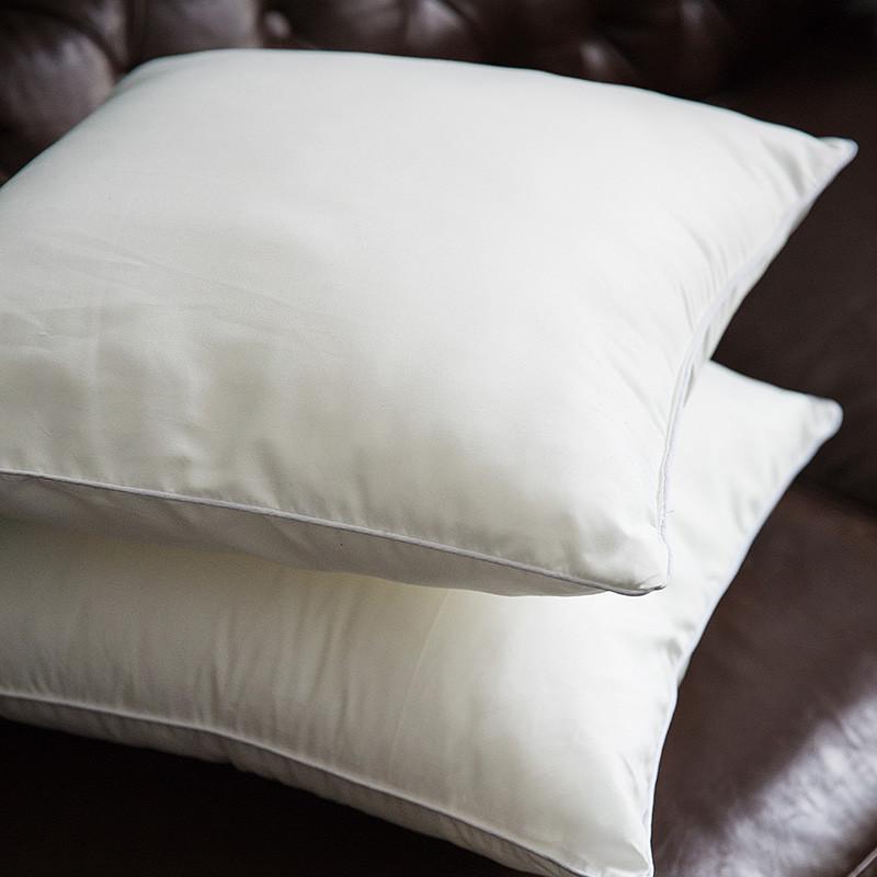 芯抱枕芯4545内胆 沙发靠靠垫枕芯芯55正方形内 靠背儿枕心抱