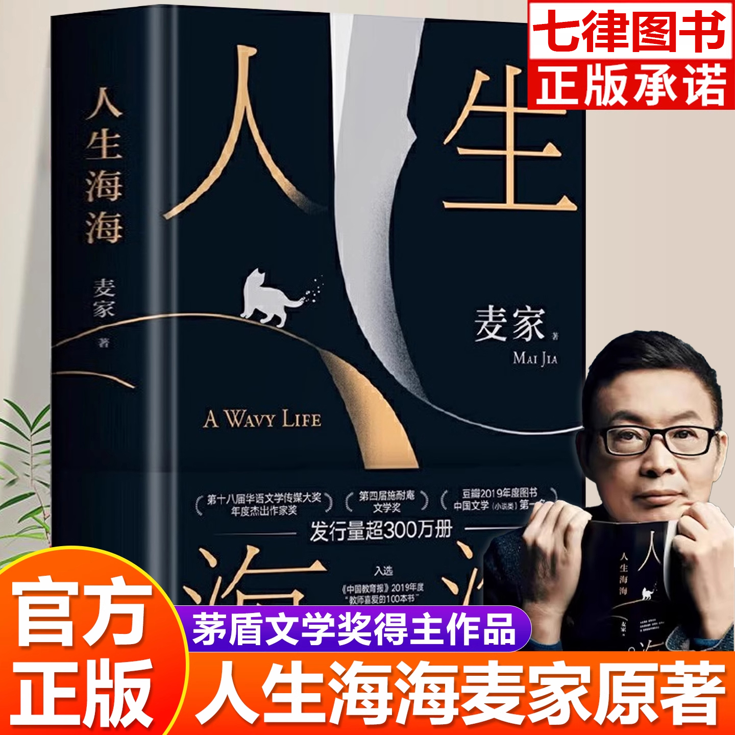 人生海海 经典长篇力作 茅盾文学奖麦家作品