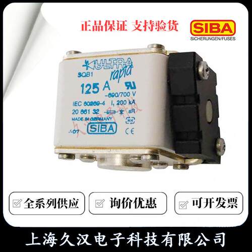 2066132.63西霸SIBA熔断器SQB163A保险丝2066132