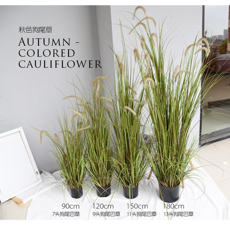 仿真芦苇盆栽干花芦苇北欧绿植水生植物装饰落地绿植物狗尾草