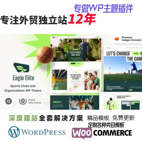 Diaco - Elementor WordPress 主题户外体育运动外贸B2B网站模板