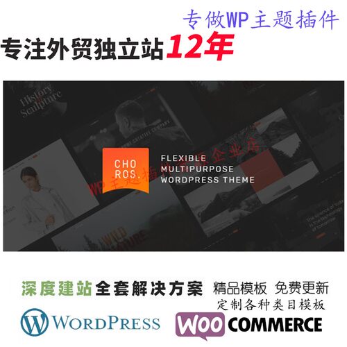 Choros-响应式多用途WordPress主题跨境外贸公司展示网站模板
