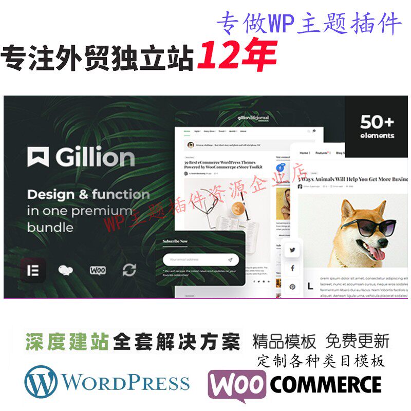 Gillion-多概念博客杂志新闻和商店 WordPress AMP 主题网站模板