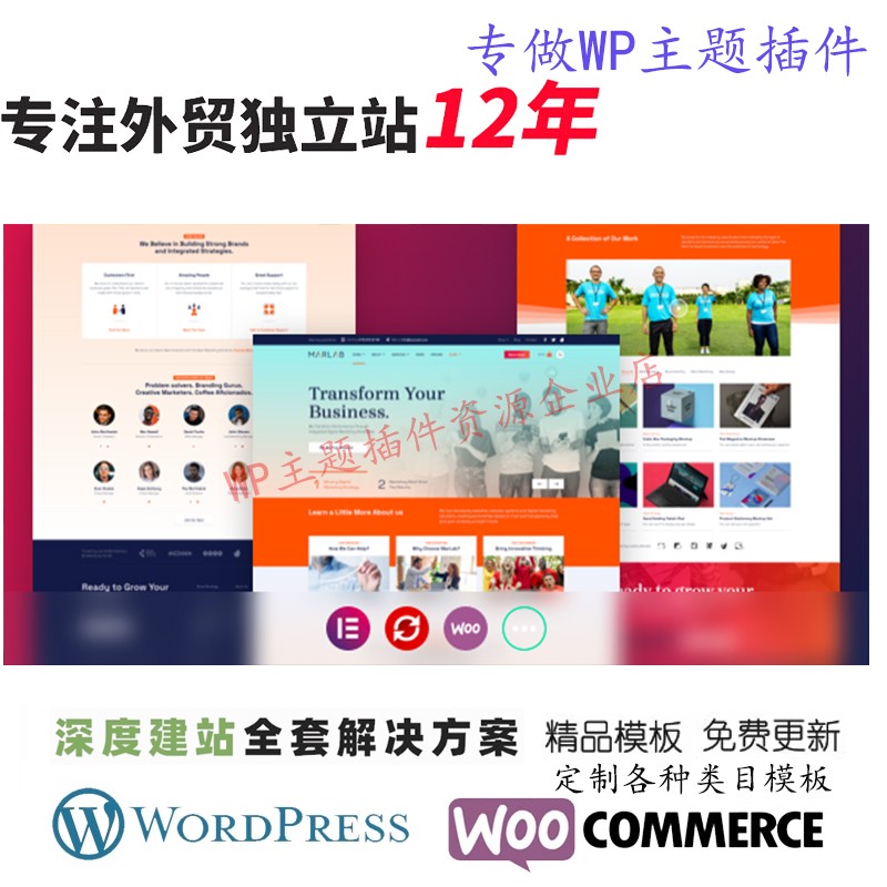 MarLab – WordPress 主题数字营销登陆页面网页设计网站展示模板