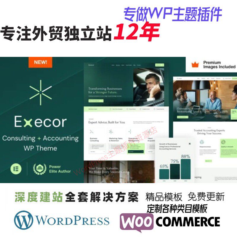 Execor – 会计和管理咨询 WordPress 主题营销企业战略网站模板