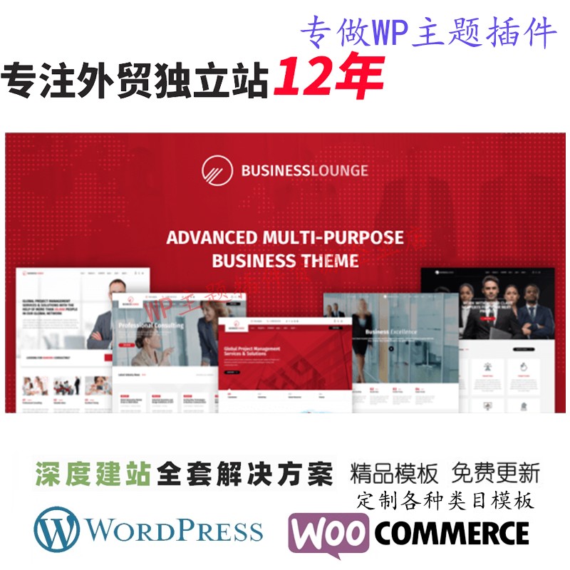 Business Lounge-商务休息室多用途咨询和金融主题创意网站模板