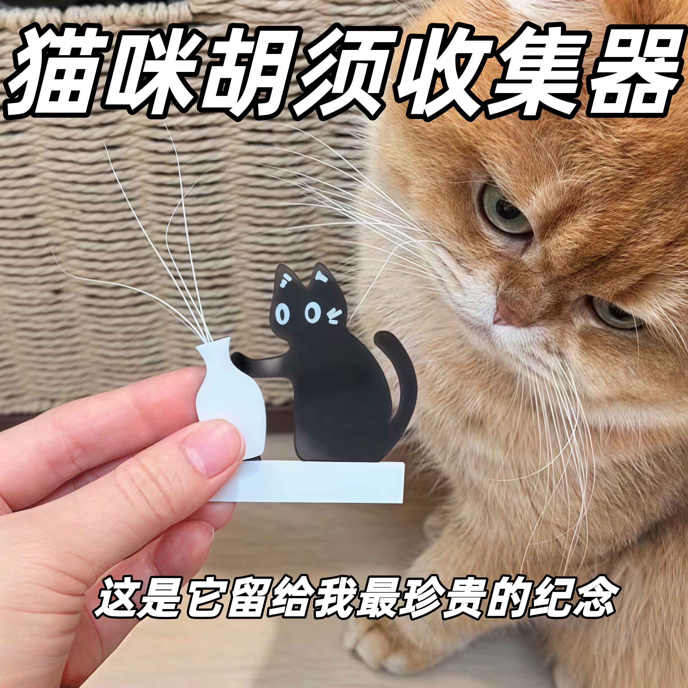 小猫推瓶子磁吸式冰箱贴胡须收纳