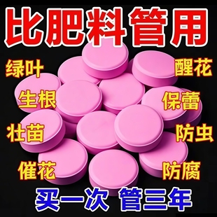 植物缓释营养片绿植肥料长效控释盆栽花卉多肉家庭养花专用肥料