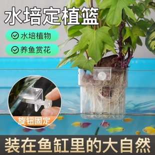 鱼缸水培架定植篮壁挂式水草杯绿萝植物固定器支架造景装饰配件