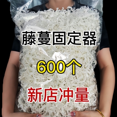 植物固定夹卡扣藤蔓固定器吊秧夹
