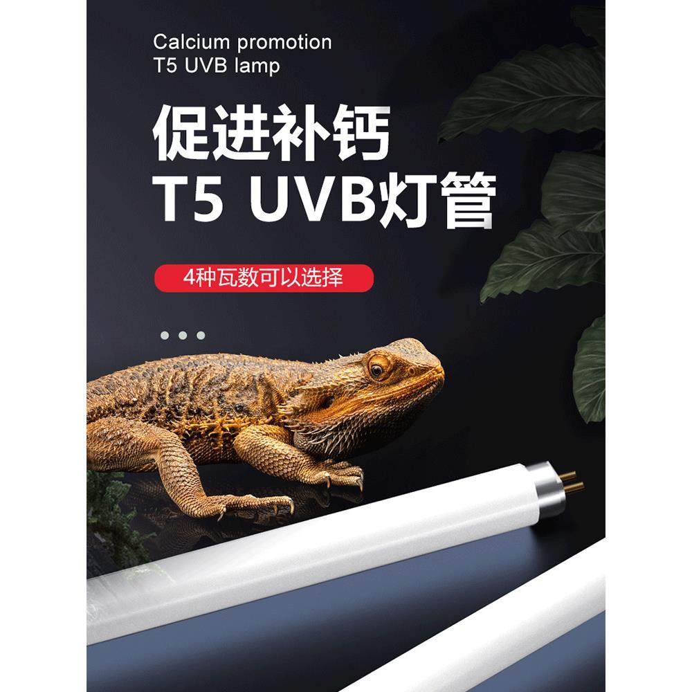 爬行动物T5紫外线灯Uv灯10.0爬行动物宠物乌龟鬃狮蜥蜴雨林水箱繁,宠物/宠物食品及用品,爬宠灯具,淘宝优惠券,粉丝福利购,淘宝优惠卷