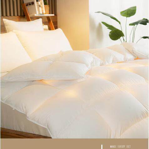 0.9kg80纱支羽绒被