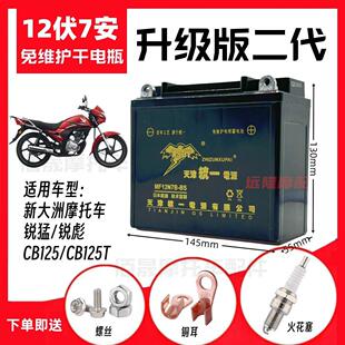 新大洲锐彪CB125锐猛太子男士摩托车免维护蓄电池12V7A干电瓶