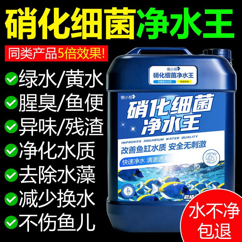 硝化细菌液锦鲤鱼池专用分解鱼便净化水质稳定剂养鱼活菌净水剂の