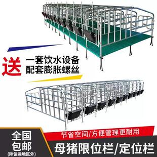 母猪定位栏猪场用限位栏产床落地式带覆合漏粪板畜牧养殖设备厂家