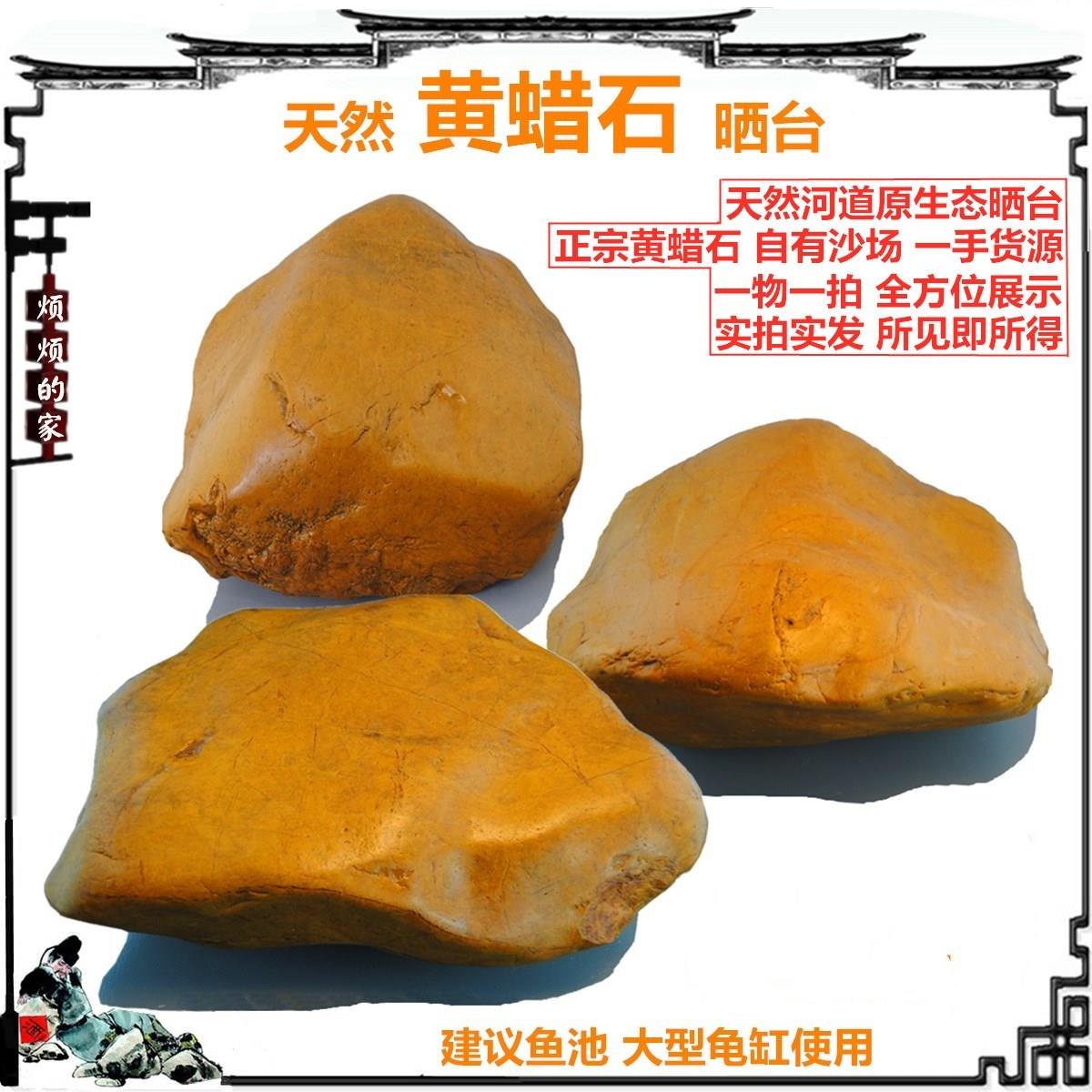 乌龟晒台天然黄蜡石大高腊石头鱼龟缸造景装饰黄缘龟爬坡晒背发色