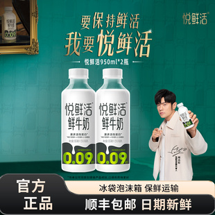 君乐宝悦鲜活鲜牛奶950ml 2大瓶组合巴氏杀菌乳营养低温鲜牛奶