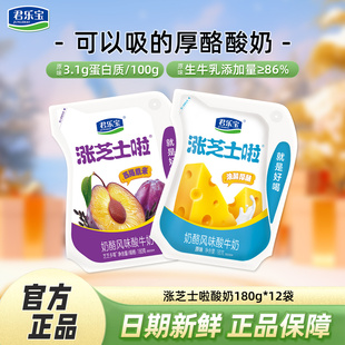 君乐宝涨芝士啦酸奶180g 12袋原味西梅紫米味酸奶
