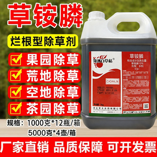 大瓶草铵膦除草剂草安宁锄草剂强效果园荒地杂草快速除草烂根农药