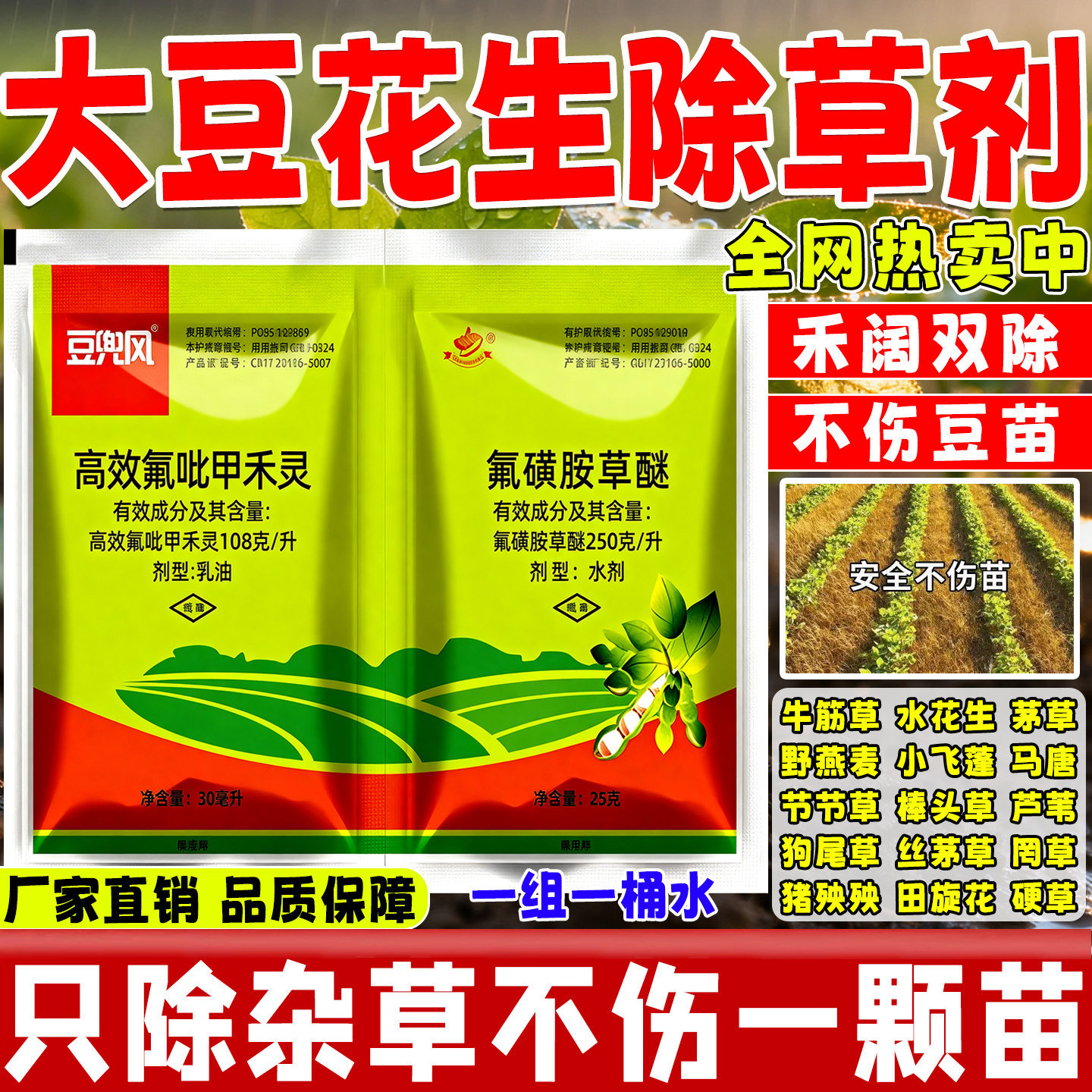 大豆黄豆花生田地苗后专用除草剂除草烂根死根禾阔双除不伤豆苗