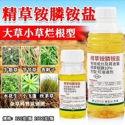 草先煌10%精草铵膦铵盐果园除草