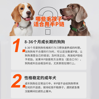howgo宠物防污半p链项圈大中小型犬定制脖圈狗牌饰品牵引狗狗引绳