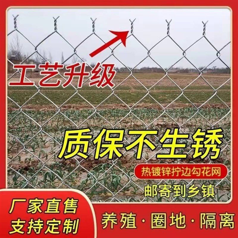热浸镀锌钢丝网果园防护网勾花网铁丝网养鸡鹅拦鸡网牛羊养殖围栏