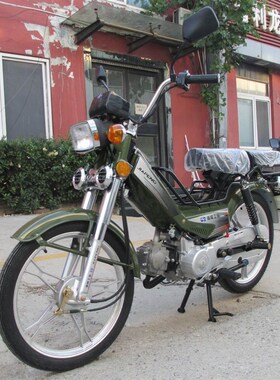 嘉陵工业嘉鹏48CC助力车轻便摩C托车国四电喷有化油器上蓝牌老头