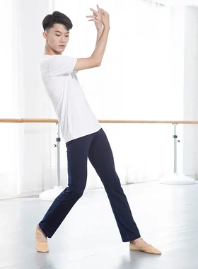 红舞鞋薄棉男士短袖舞蹈上衣成人练功形体训练考级T恤舞蹈服30293