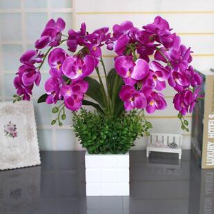 人造花蝴蝶兰集假花丝绸花客厅装饰品装饰花卉家庭展示盆栽兰花