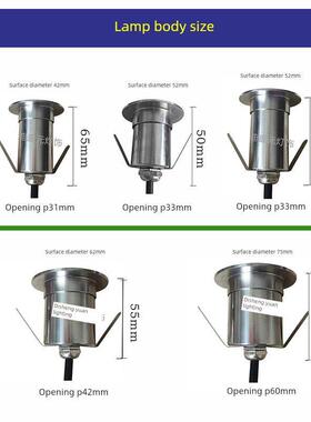 Led嵌入式水下地下灯220V室外小型落地灯防水1W星光落地灯24V12V