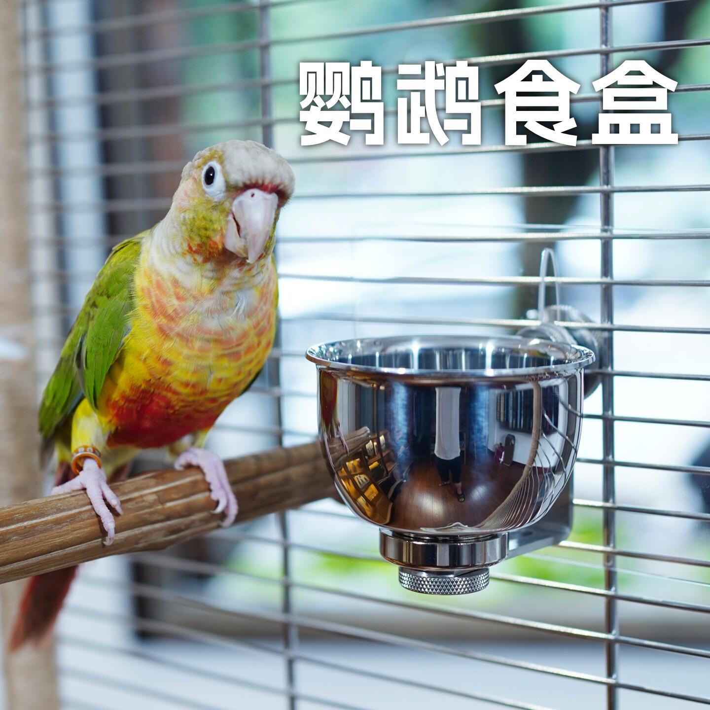 鹦鹉防溅防撒食盒304不锈钢食碗鸟用食杯鸟笼配件磁吸快拆喂食器