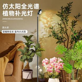 植物生长补光灯仿太阳全光谱室内多肉阳台绿物模拟光合作用光照灯