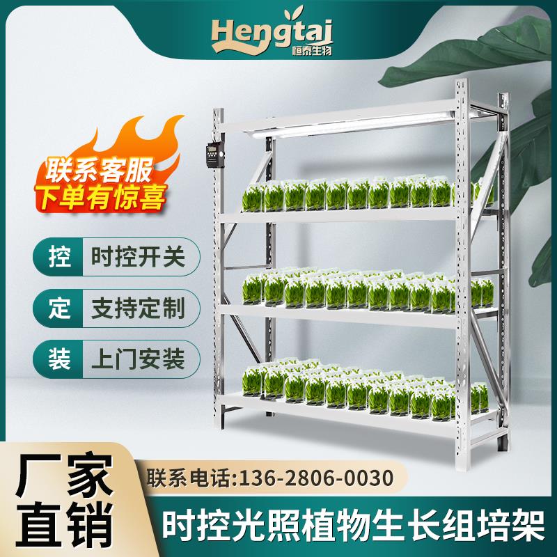 冷轧钢组培架植物光照培养架实验室育苗架室内一体式种植照光架