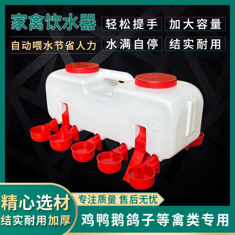 鸡用自动饮水器散养鸡鸭喂水壶鸡水桶养殖鹅水槽大小鸡水槽鸡水碗