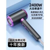 德国电吹风机家用发廊理发店专用大功率大风力速干负离子护发静音