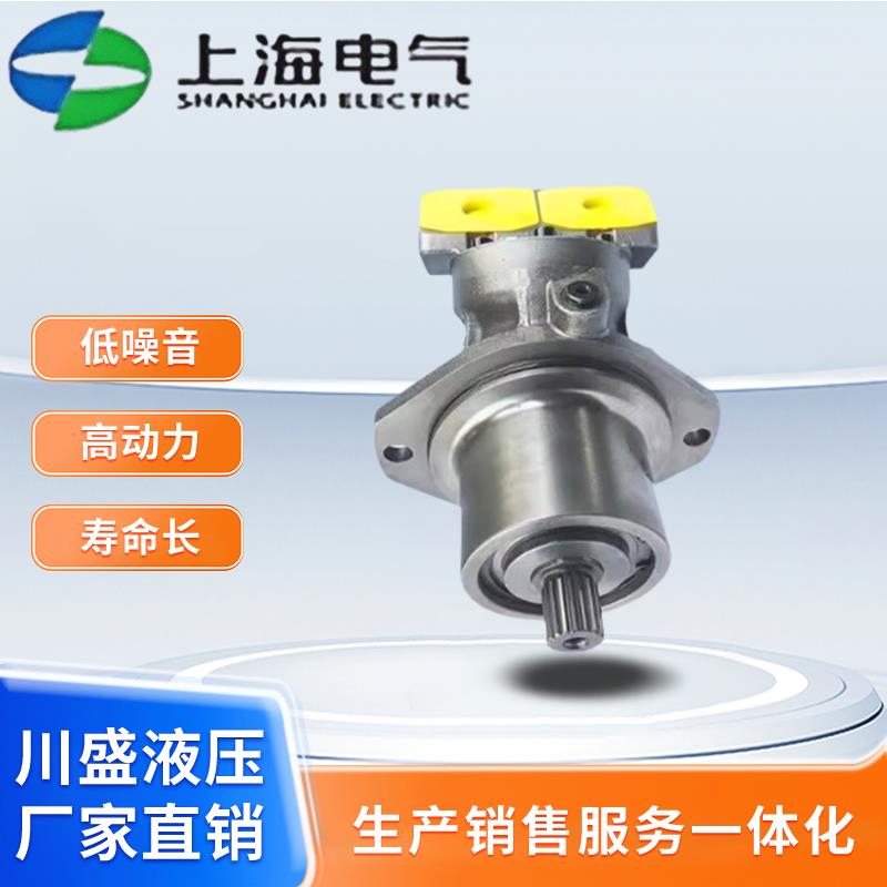 上海电气插装式柱塞泵A6VE28/55/80/107/160/250EP2D/63W变量马达