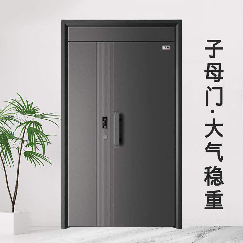 甲级防盗门家入户门安进全门智能门加母高门头534户门子门大用门