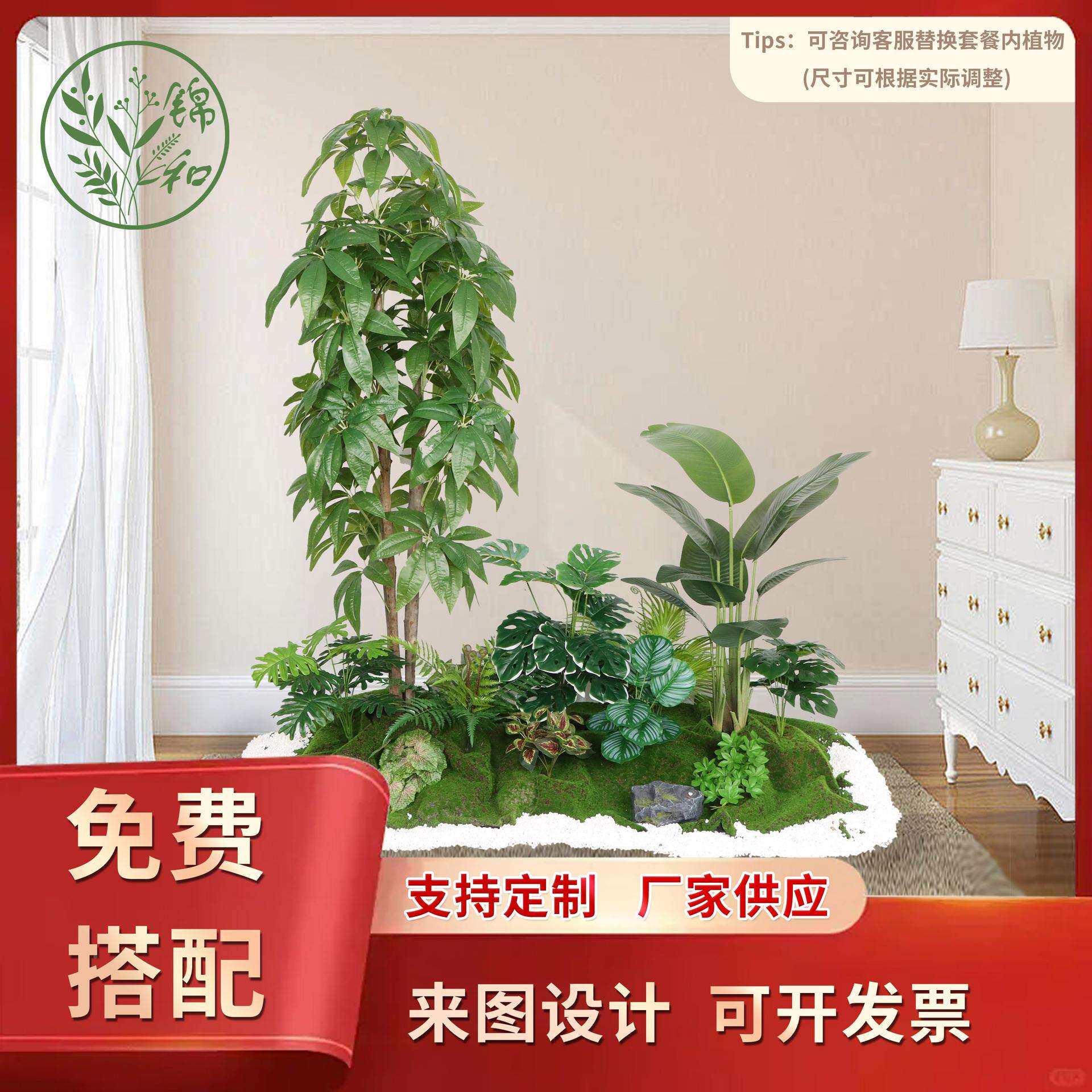 绿物植物造GTF景阳台景观内室外假植装饰旅人蕉龟背楼梯下植造景