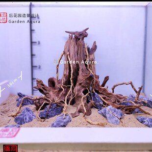 生命之树 沉木造景定制  沉木 草缸 造景沉木 草缸 后花园水族