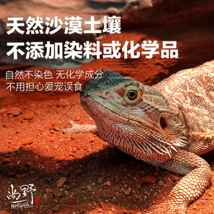 荒漠地表垫材爬宠沙鬃狮蜥蜥蜴瘤尾豹纹守宫陆龟沙漠造景黏土洞穴