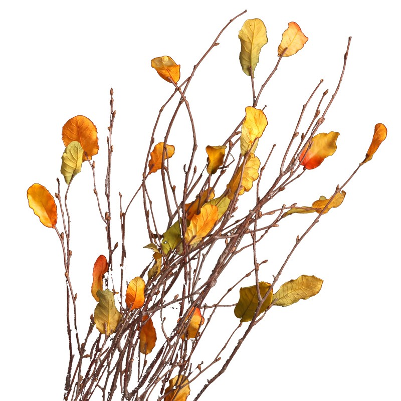 干枝干花客厅装饰枯树枝装饰树叶装饰干枝树干树枝树装饰天然干花