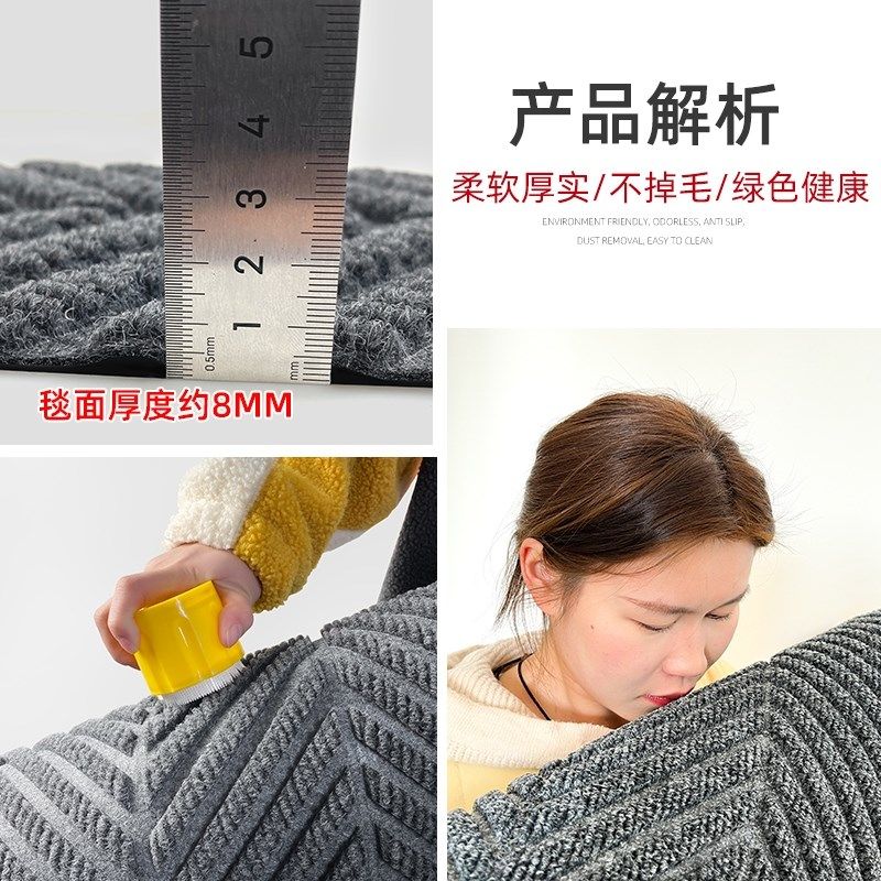 蓝色入户门地垫玄关门口地毯门外高级感室外进门耐脏脚垫防滑门垫