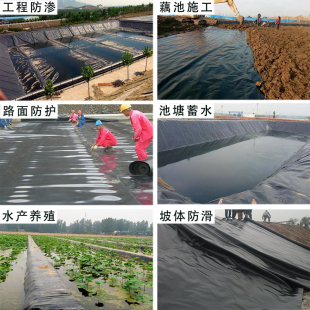热销热销鱼塘防渗膜土工n膜加厚池塘防水布鱼池养殖膜蓄水池防漏