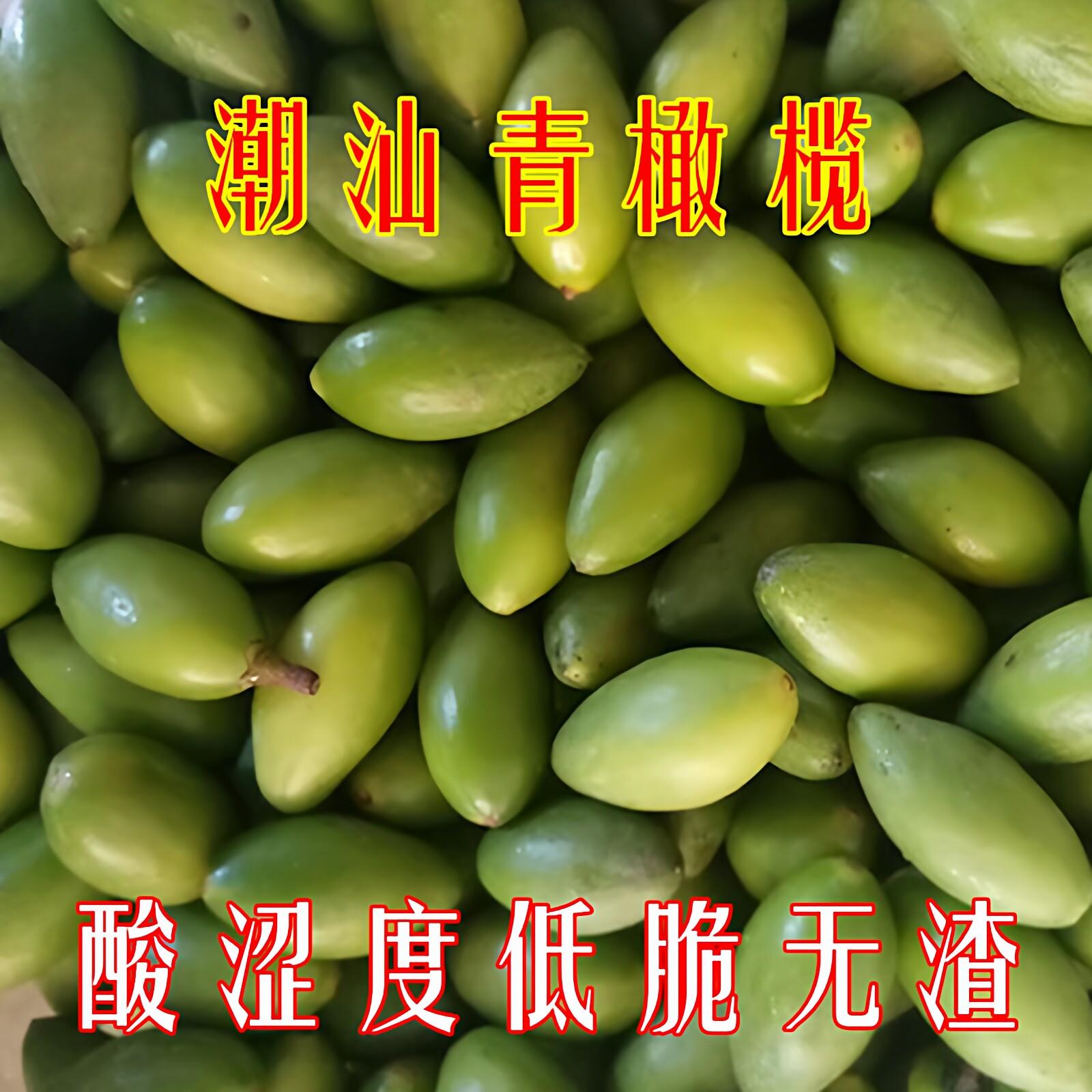 潮汕新鲜青橄榄 新鲜现摘生青果清香新鲜橄榄酸涩回甘 一斤包邮