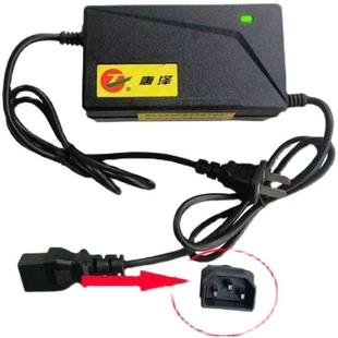 哈啰棒途唐泽电动车新国标铅酸充电器原装 冲量价格 三竖小公头正品