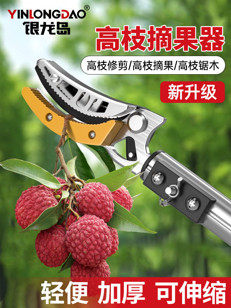 摘酸枣采摘水果荔枝芒果龙眼神器伸缩杆高空剪果树修剪专用高枝剪