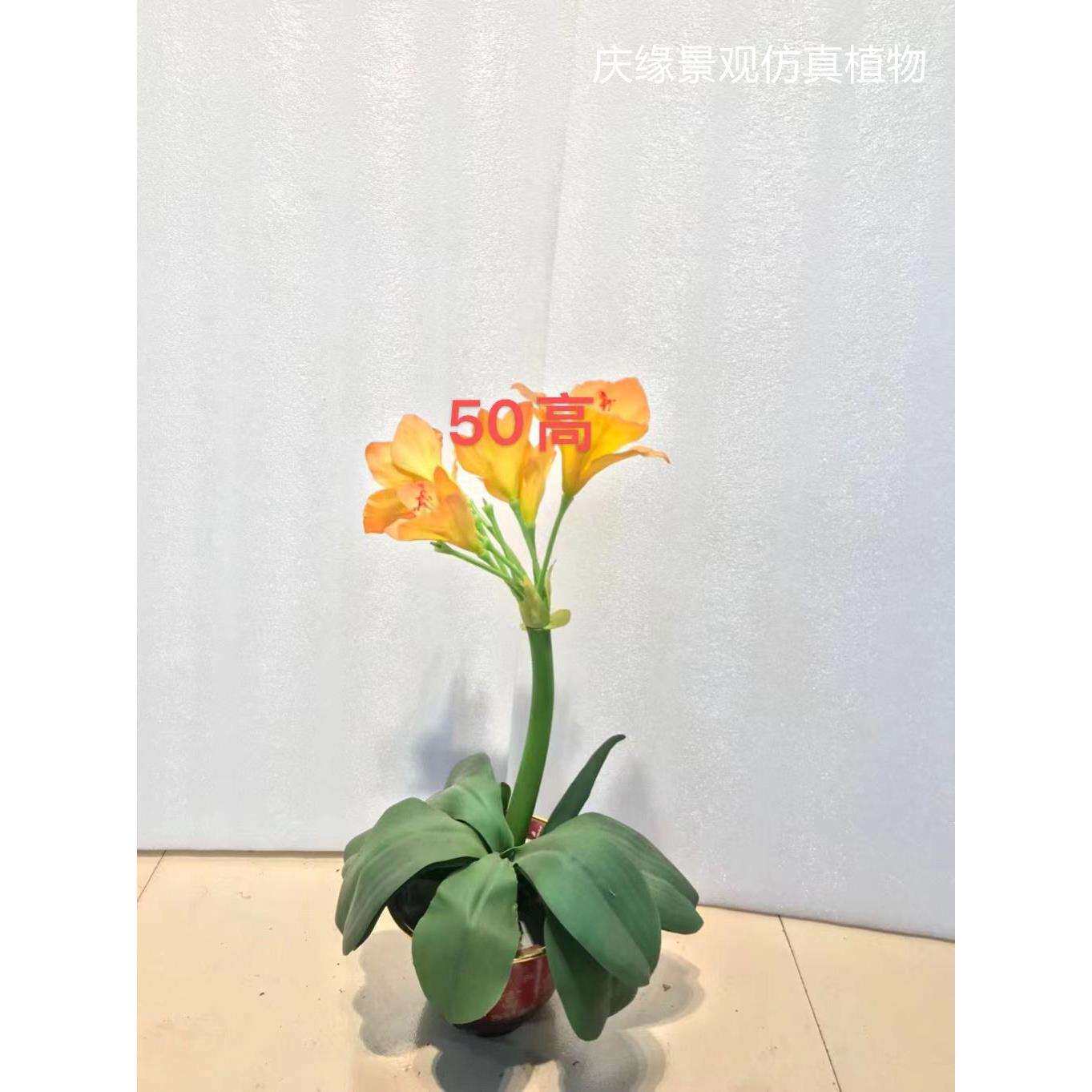 仿真君子兰仿真花兰花盆栽办公室室内电视柜桌面装饰摆放造景美化